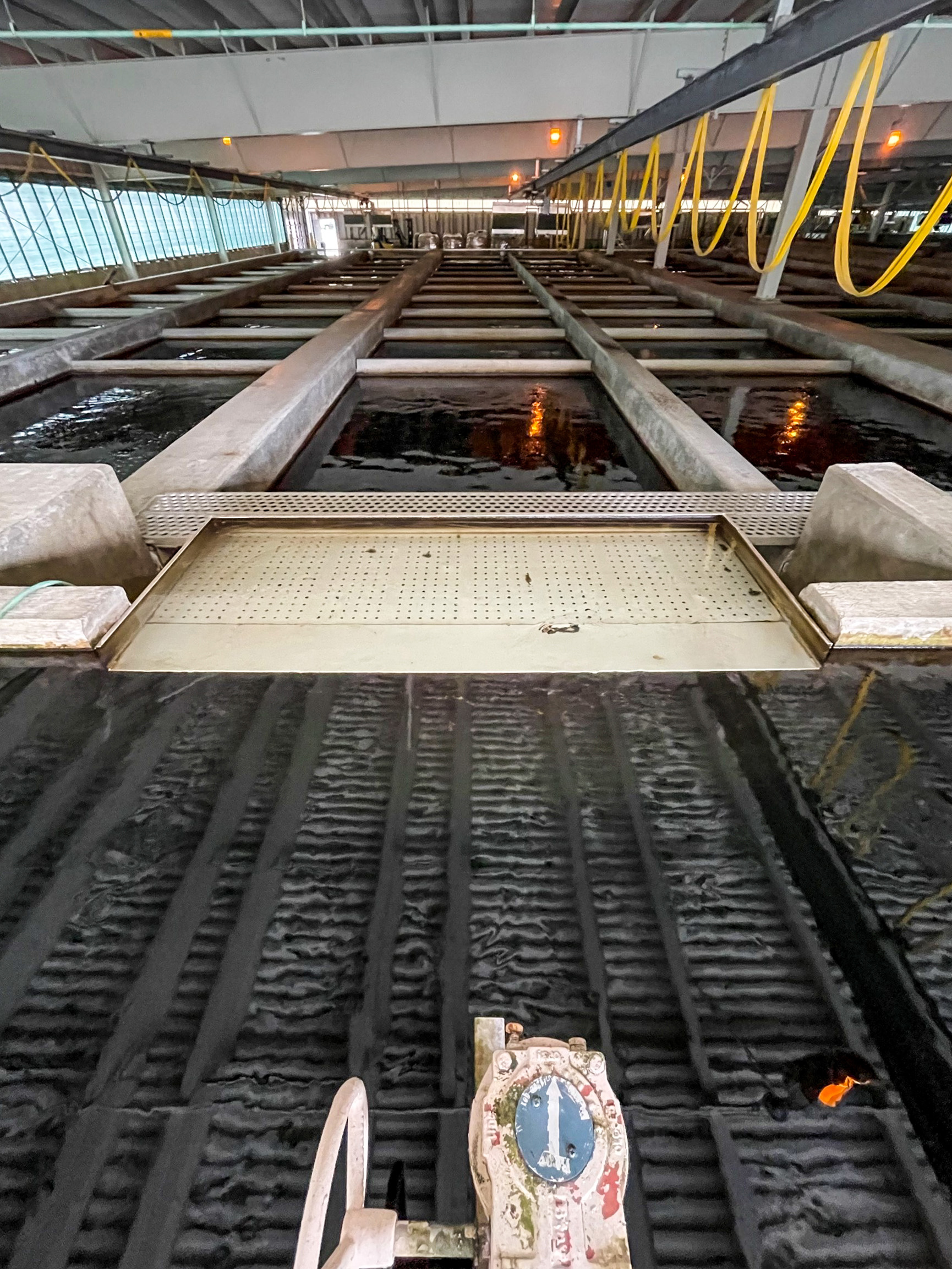 Showcasing the DNR One hundred and fifty years of Michigan fish hatcheries